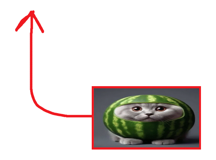 melon